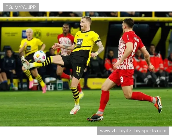 疫情过后德甲球队：疫情后德甲球队的复苏与发展趋势